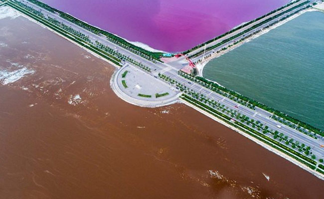 Pink Is The New Colour Of China's 'Dead Sea'