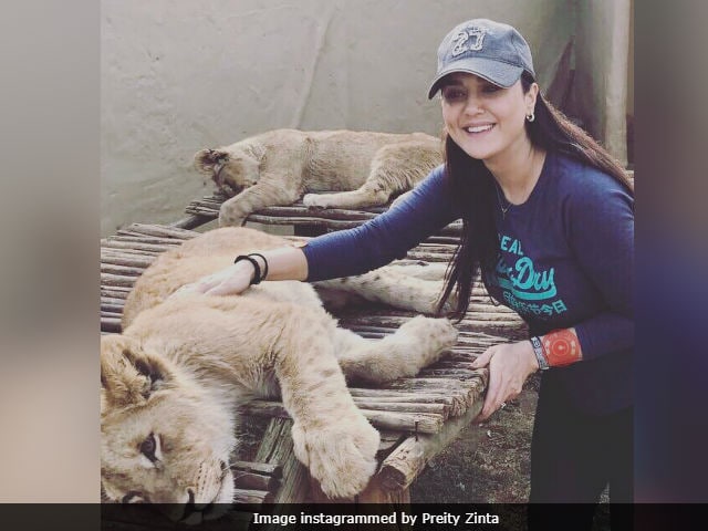 Preity Zinta Trolled For Pic With Lion Cub, Retorts 'Not Everything's A Conspiracy'