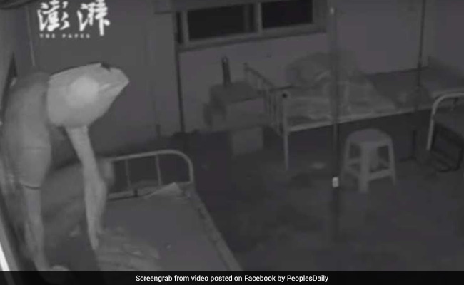 Watch: Thief Covers Face With Toilet Paper To Avoid Getting Identified