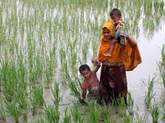 Hundreds Of Rohingya Children Arrive In Bangladesh Alone