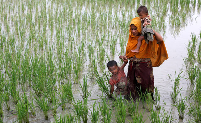 Hundreds Of Rohingya Children Arrive In Bangladesh Alone