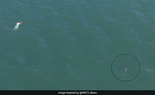 Video: Jumped Into Ocean To Escape Cops Only To Be Chased By A Shark