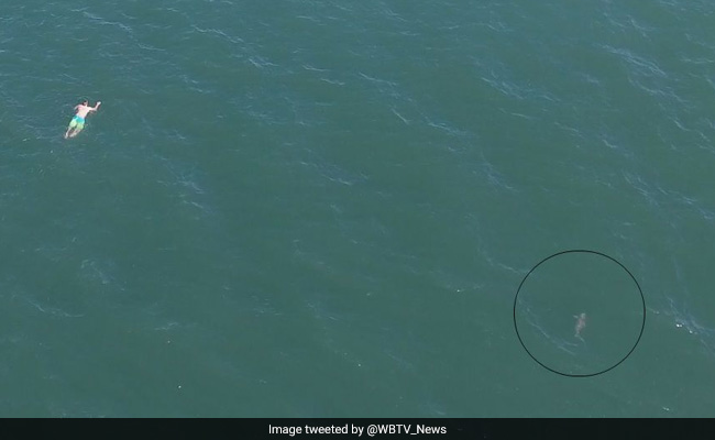 Video: Jumped Into Ocean To Escape Cops Only To Be Chased By A Shark