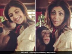 Shilpa Shetty Deletes Videos Of Her And Son With Exotic Animals After Backlash