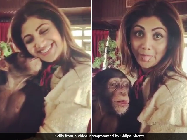 Shilpa Shetty Deletes Videos Of Her And Son With Exotic Animals After Backlash