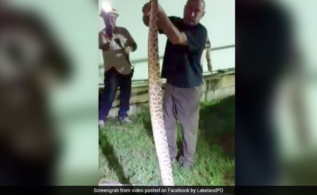 Watch: Officer Uses Tongs To Remove 5-Foot-Snake From Power Plant