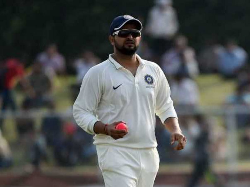 Duleep Trophy: Hanuma Vihari, Suresh Raina Lead India Blue's Fightback On Day 2