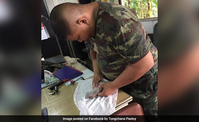 A Thai Soldier Uses CPR To Save The Life Of A Puppy