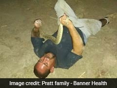 A Man Wrestled A Rattlesnake To Show Off. He Was Bitten In The Face And Nearly Died.