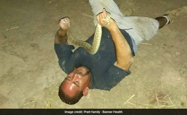 A Man Wrestled A Rattlesnake To Show Off. He Was Bitten In The Face And Nearly Died.