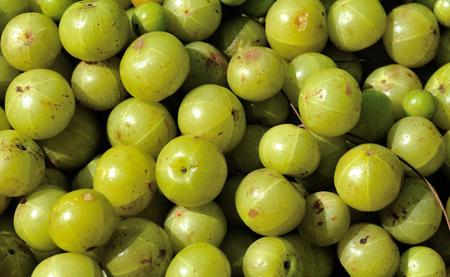 Amla - A Treasure Of Health Benefits