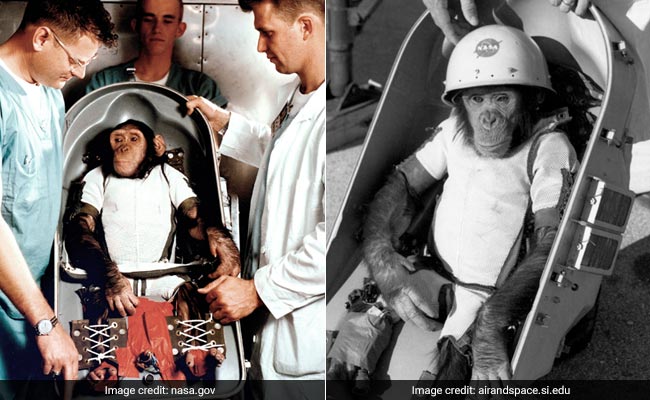 OMG! जानिए क्या हुआ जब स्पेस में पहुंच गए थे बंदर, देखें फोटोज