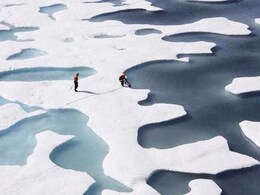 Arctic Micro-Animal Survives 24,000 Years In Siberian Permafrost Arctic Micro-Animal Survives 24,000 Years In Siberian Permafrost