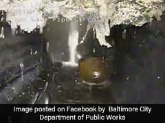 Watch: 20-Foot 'Fatberg' Removed From Sewer