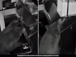 Caught On Camera: Three Bears Break Into Pizza Shop In Midnight Raid Caught On Camera: Three Bears Break Into Pizza Shop In Midnight Raid