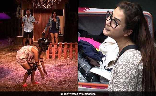 Bigg Boss 11 Day 4: मुर्गियां पकड़ेंगी टीवी की अक्षरा बहू, इन्होंने लिया 'अंगूरी भाभी' की नींद उड़ाने का जिम्मा