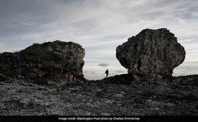 Climate Scientists Are Obsessed With Two Mysterious Boulders In The Bahamas