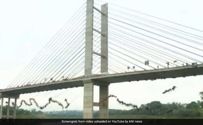 Watch: 245 People Jumped Off A Bridge Together