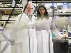 Cancer-Fighting Power Couple Tackles Mysteries Of The Immune System