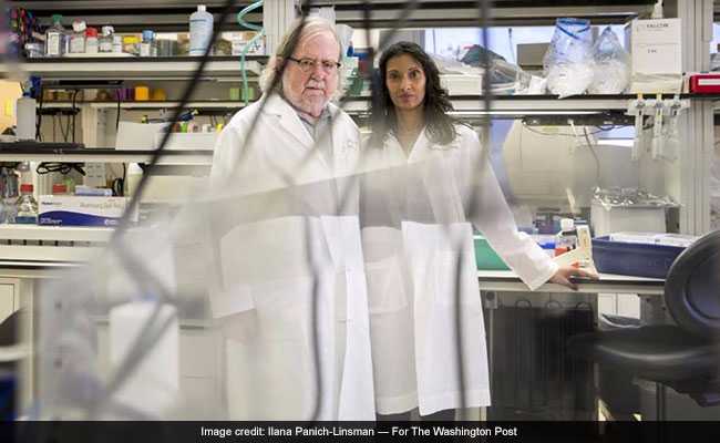 Cancer-Fighting Power Couple Tackles Mysteries Of The Immune System