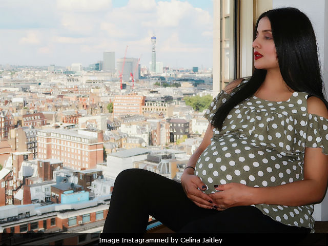 Celina Jaitley Shares 'Bittersweet' News About Her Second Set Of Twins