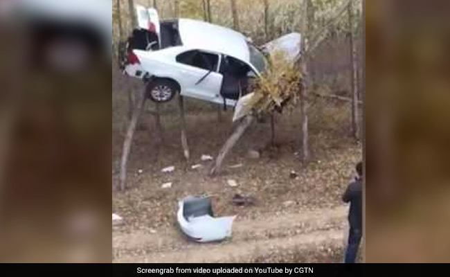 How Did This Car End Up Stuck In A Tree? Bizarre Sight Shocks Onlookers