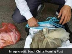 In China, Man Caught With 50 Vipers In His Suitcase
