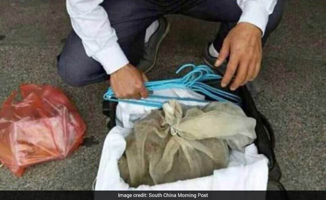 In China, Man Caught With 50 Vipers In His Suitcase