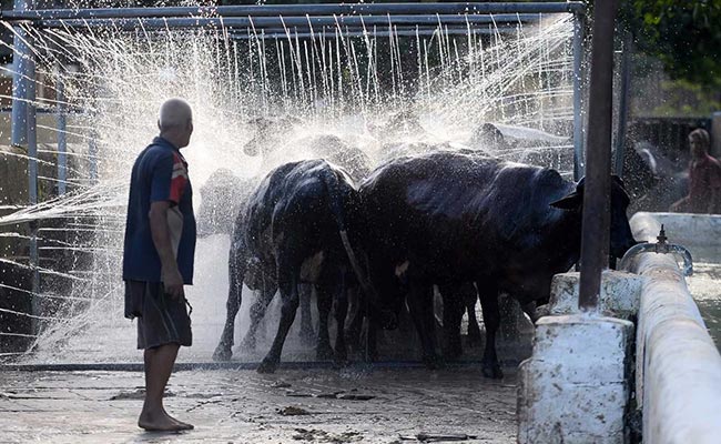 Colonial-Era Military Farms Face Closure