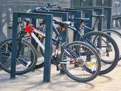 Engineer Stole Bicycles From IIT Bombay, Used To Sell Them Online. Arrested