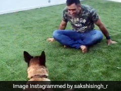Video Of MS Dhoni Playing With His Dog Will Make Your Morning Better