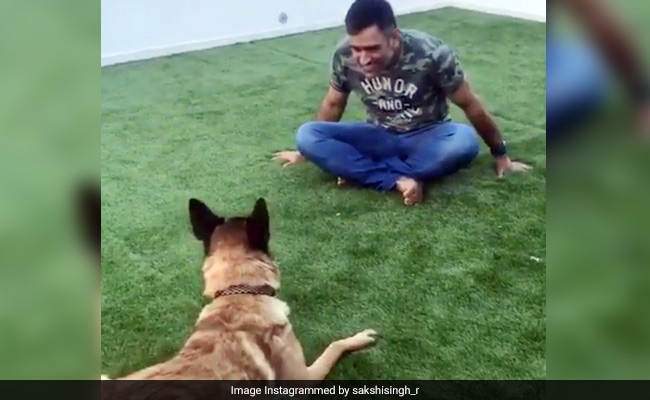 Video Of MS Dhoni Playing With His Dog Will Make Your Morning Better
