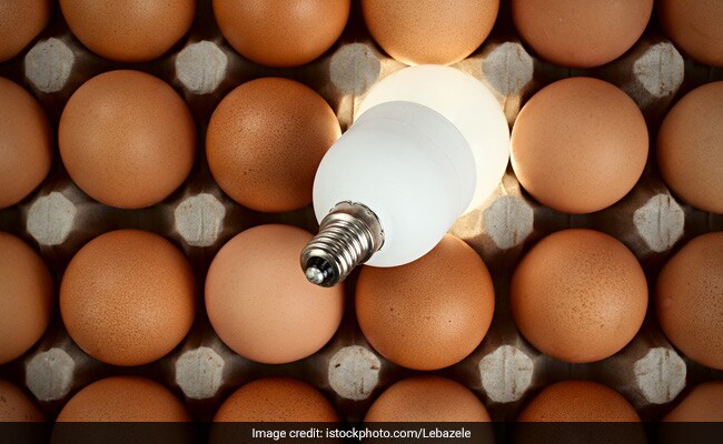 This Protein Found in Egg Whites, Milk, and Tears May Help Light Bulbs In Future