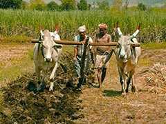 Farm Loan Waivers, Not Income Growth Behind Rural Revival: Report
