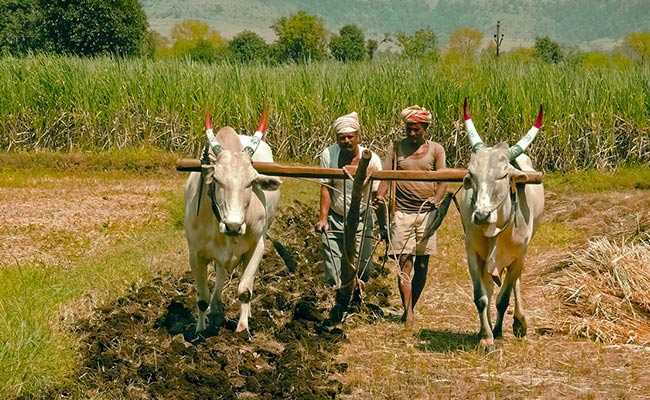 Kisan Sabha To Try And Unite Farmers To Fight BJP In Gujarat Elections