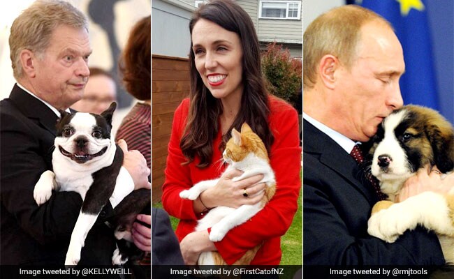 You Know The Leaders. Now, Meet Their Fluffy Pals - The First Pets