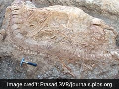 First Jurassic-Era 'Fish Lizard' Fossil Found In India