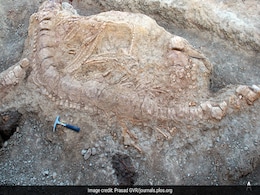 First Jurassic-Era 'Fish Lizard' Fossil Found In India First Jurassic-Era 'Fish Lizard' Fossil Found In India