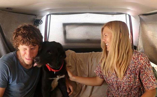 This German Couple On World Tour Lost Their Dog On Marina Beach. Chennaites Help Find Him