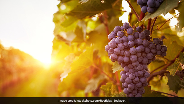 Grapes Nutrition: Amazing Nutritional Facts About Grapes And Health Benefits