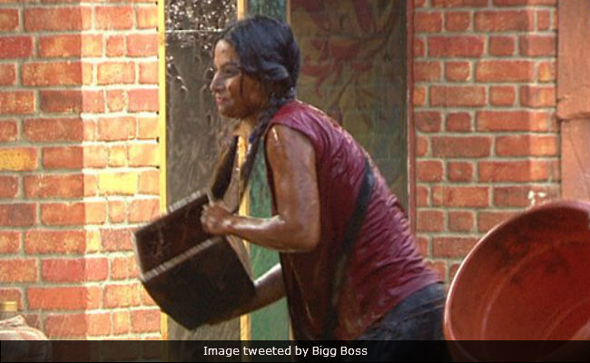 <i>Bigg Boss 11</i>, October 24, Written Update: Hina Khan And Others Had <i>Dangal</i> In The Jungle Task