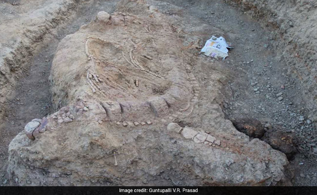 Scientists Discover India's Oldest Fossil Of A Jurassic Sea Monster