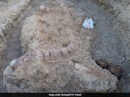 Scientists Discover India's Oldest Fossil Of A Jurassic Sea Monster Scientists Discover India's Oldest Fossil Of A Jurassic Sea Monster