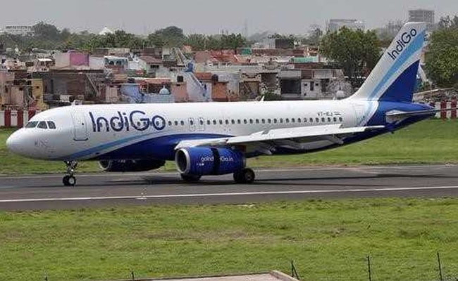 IndiGo Plane Hits Boar On Runway, Takes Off, Then Lands Again In Vizag