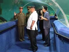 In Kim Jong Un's Summer Palace, Fun Meets Guns