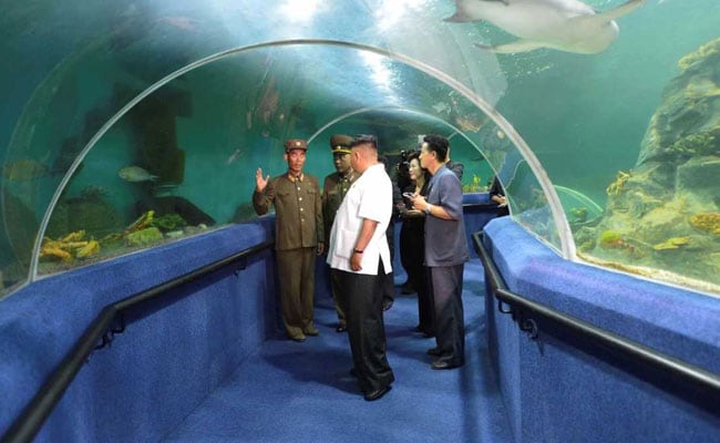 In Kim Jong Un's Summer Palace, Fun Meets Guns
