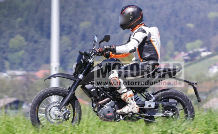 ktm 390 scrambler