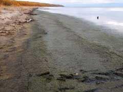 World's Deepest Lake Undergoing Gravest Crisis In Recent History