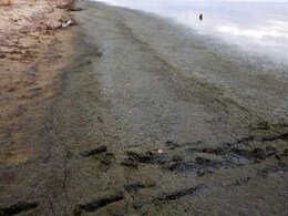 World's Deepest Lake Undergoing Gravest Crisis In Recent History World's Deepest Lake Undergoing Gravest Crisis In Recent History