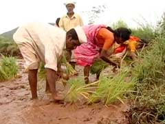 महाराष्ट्र : जहरीले कीटनाशकों पर प्रतिबंध चाहती है हरित इकाई